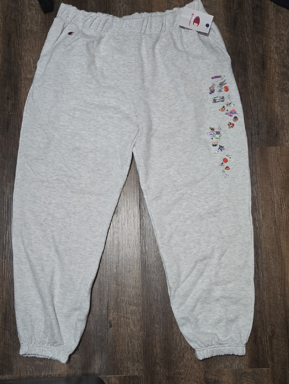 Champion Gray Mens Space Jam Sweatpants with Small Multicolor Side Graphics